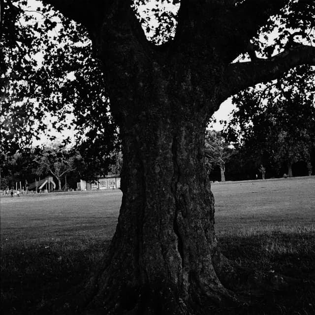 Album cover art for A New Place 2 Drown (Instrumentals)