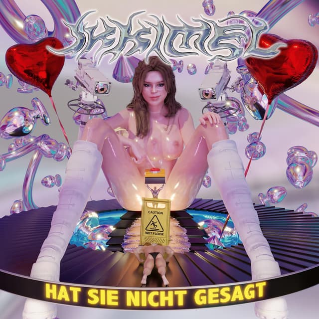 Album cover art for Hat Sie Nicht Gesagt