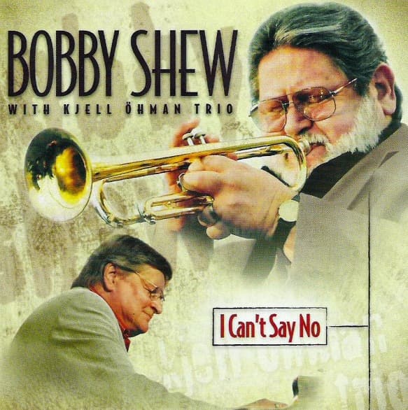 Album cover art for I Can't Say No