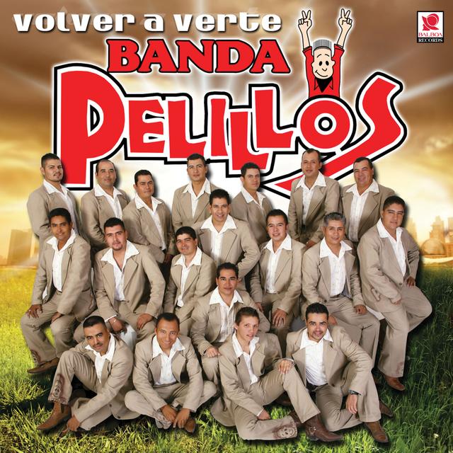Album cover art for Volver a Verte