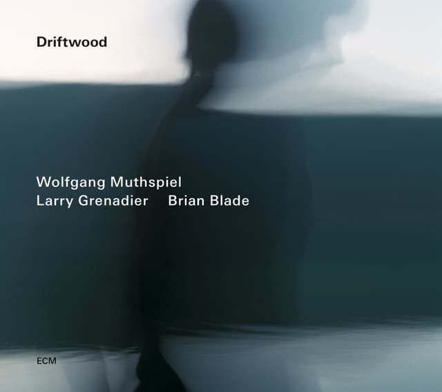 Album cover art for Driftwood