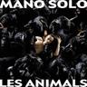 Savane