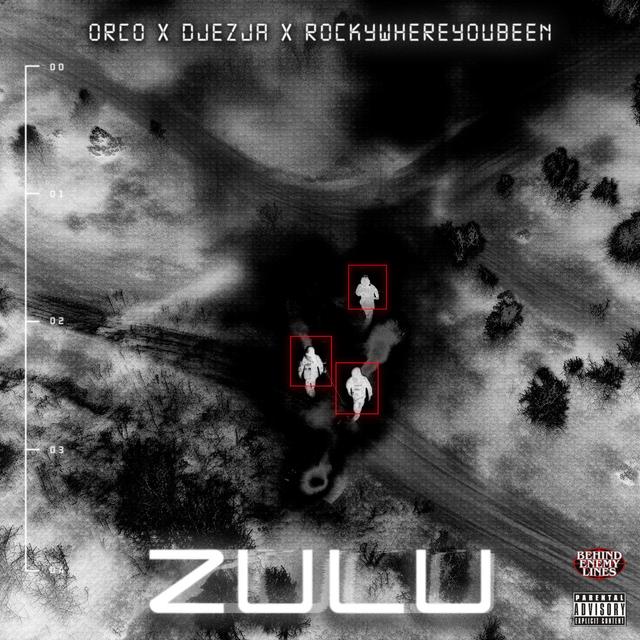 Album cover art for ZULU