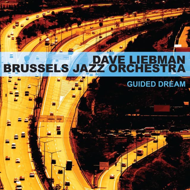 Album cover art for Guided Dream