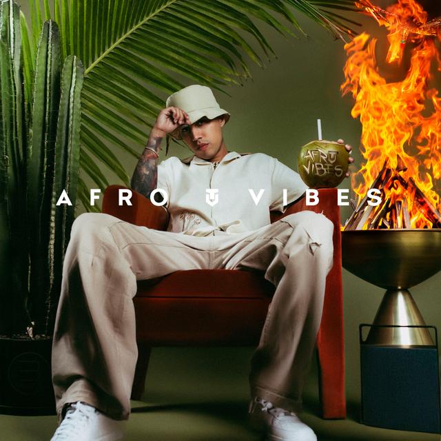 Album cover art for Afro Vibes