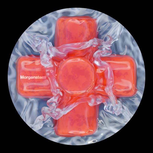 Album cover art for In Sight