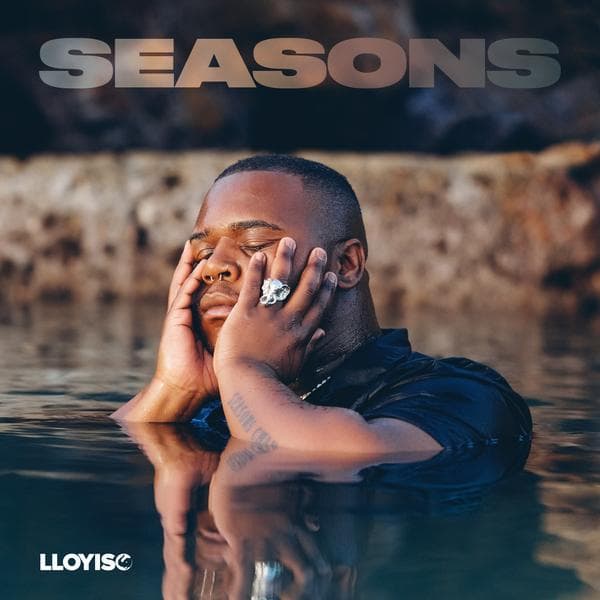 Album cover art for Seasons