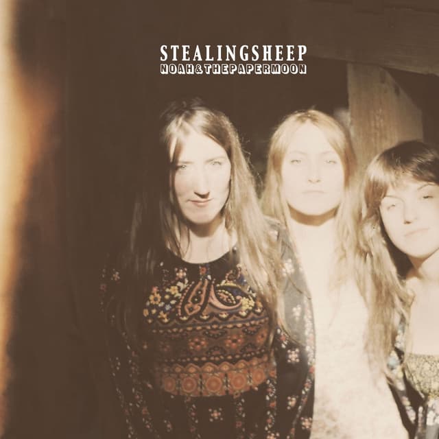 Album cover art for Noah And The Paper Moon