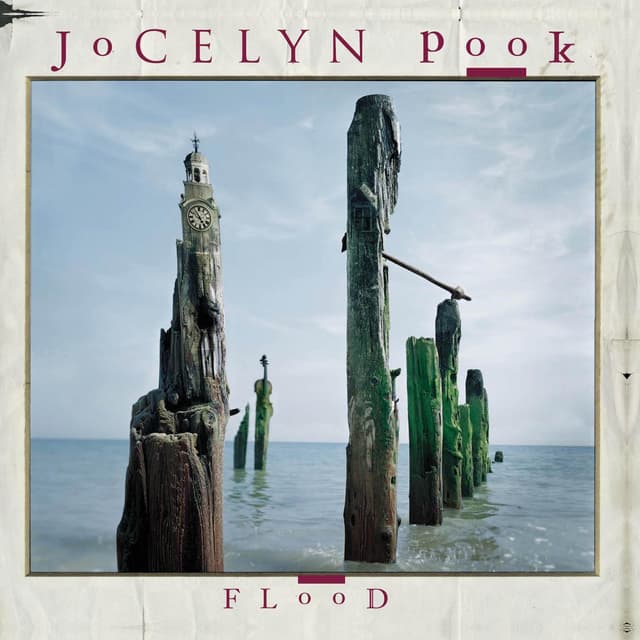 Album cover art for Flood