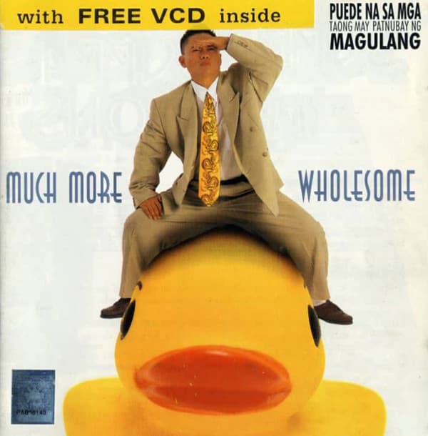 Album cover art for Much More Wholesome