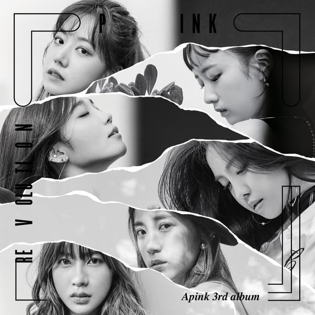 Album cover art for Pink Revolution