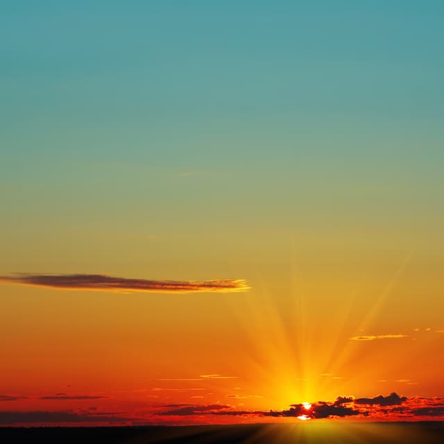 Album cover art for Adagio in D Minor