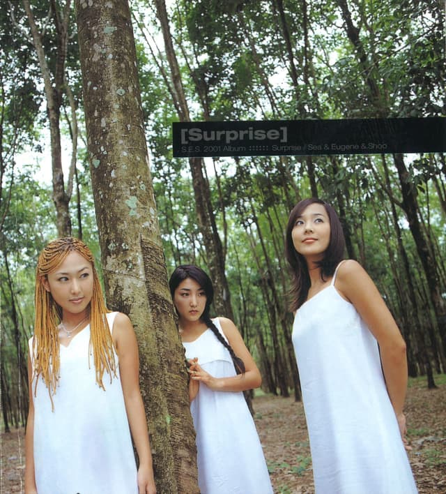 Album cover art for Surprise - The 4.5th Album