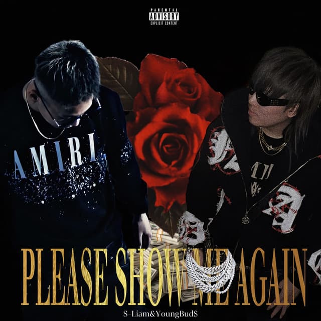 Album cover art for Please Show Me Again