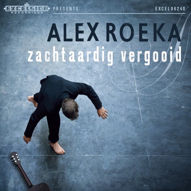Album cover art for Zachtaardig vergooid