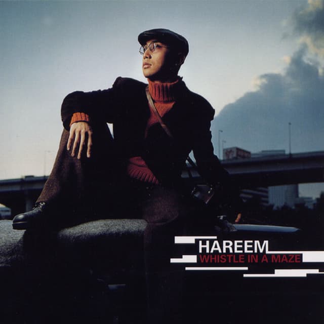 Album cover art for Whistle In A Maze