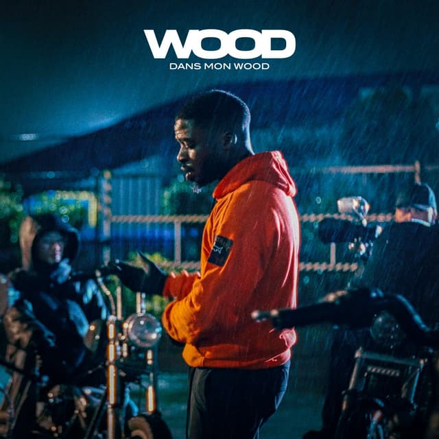 Album cover art for Dans mon Wood