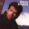 Love Theme from St. Elmo's Fire (For Just a Moment)