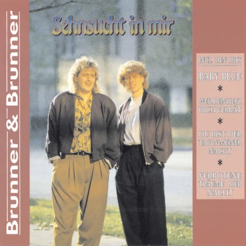 Album cover art for Sehnsucht in Mir