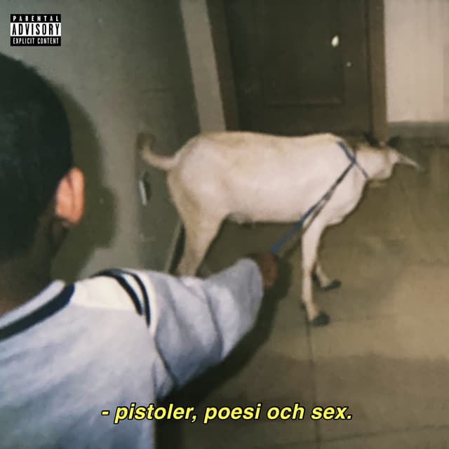 Album cover art for Pistoler Poesi och Sex