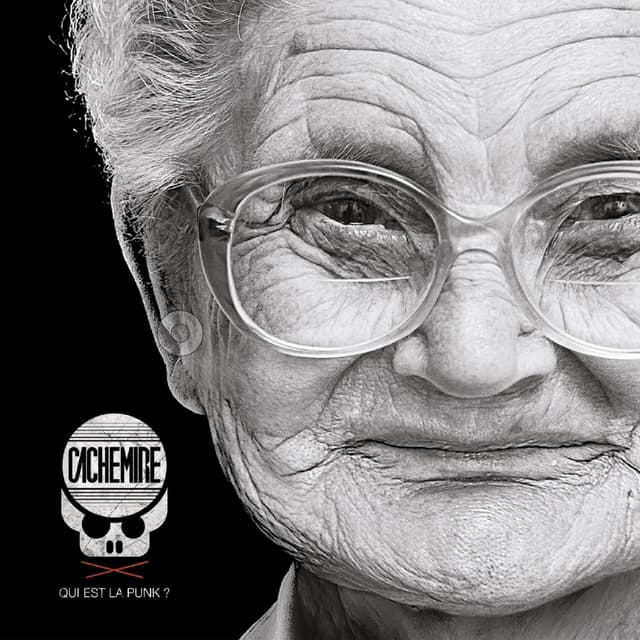 Album cover art for Qui Est la Punk ?