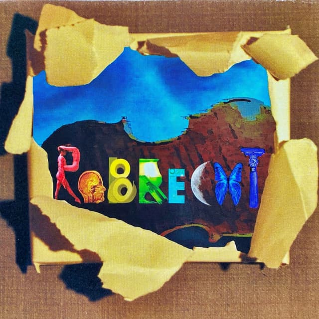 Album cover art for Robrecht