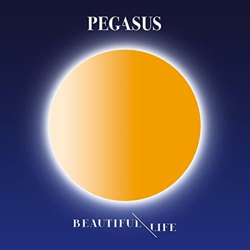 Album cover art for Beautiful Life