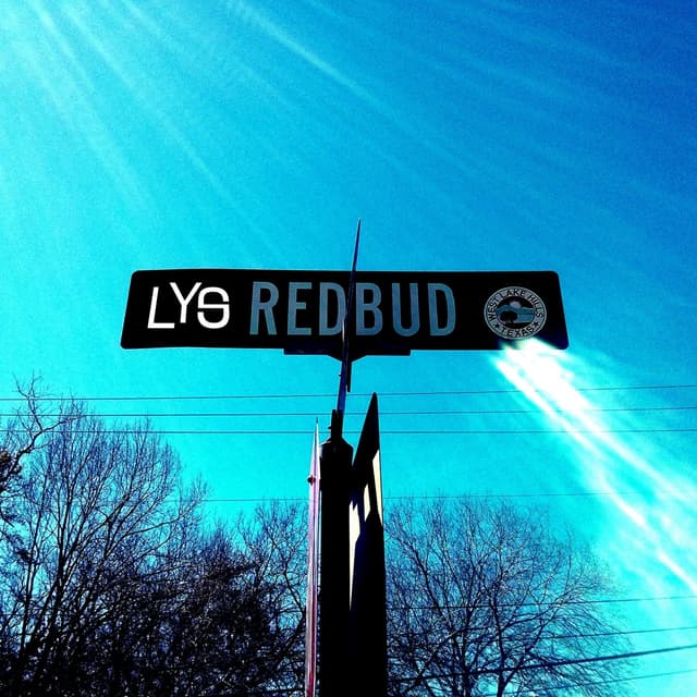 Album cover art for Redbud