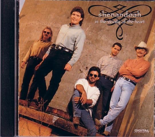 Album cover art for In the Vicinity of the Heart