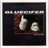 Album cover art for Riding The Tiger