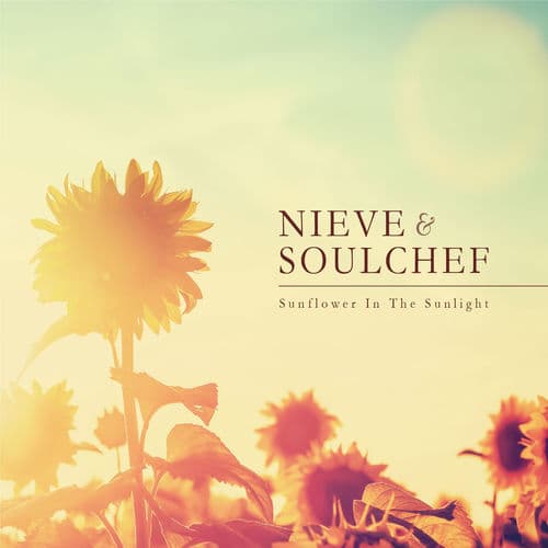 Album cover art for Sunflower in the Sunlight