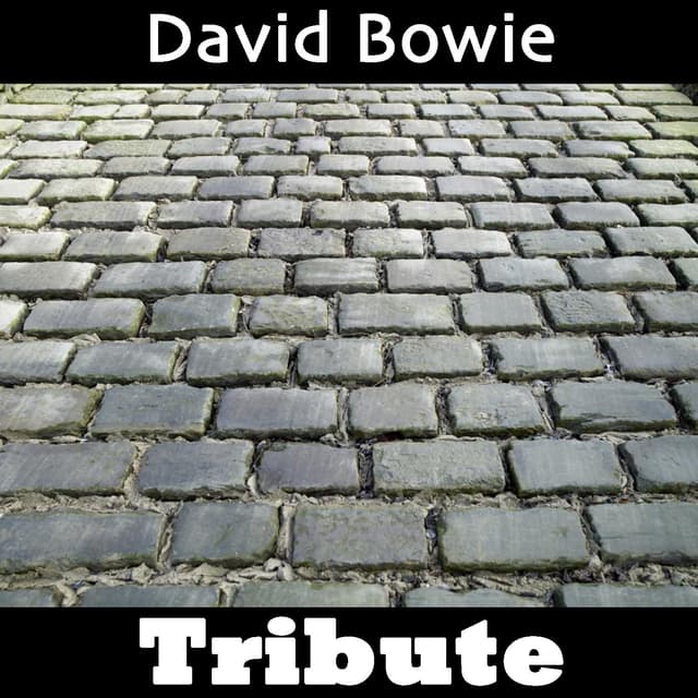 Album cover art for Space Oddity: Tribute To David Bowie Part 2