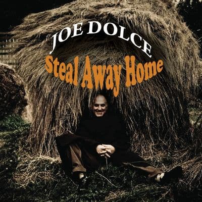 Album cover art for Steal Away Home