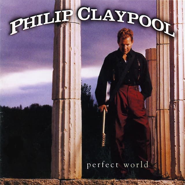 Album cover art for Perfect World