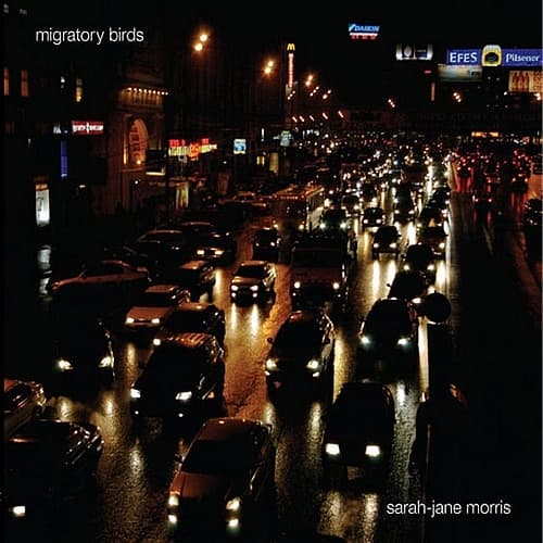 Album cover art for Migratory Birds