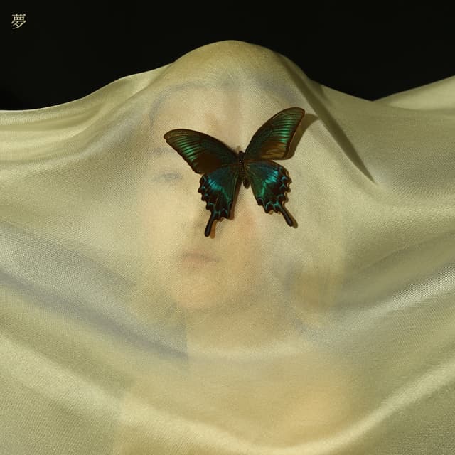 Album cover art for Dream