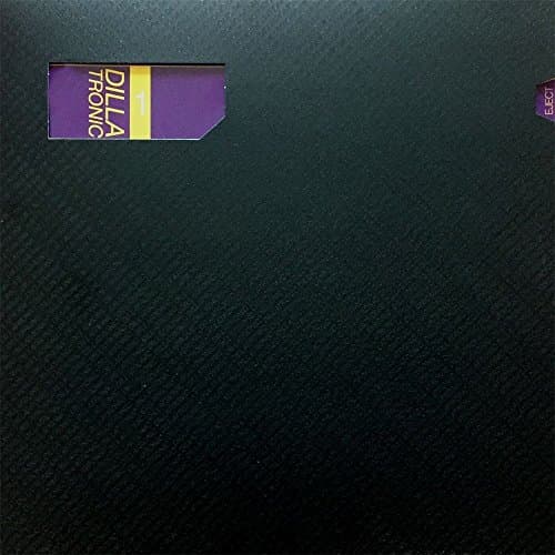 Album cover art for Dillatronic