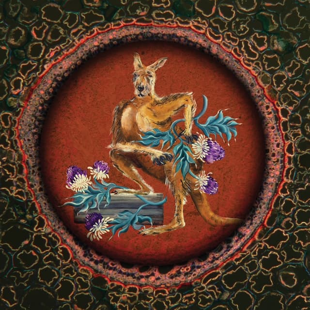 Album cover art for LSD