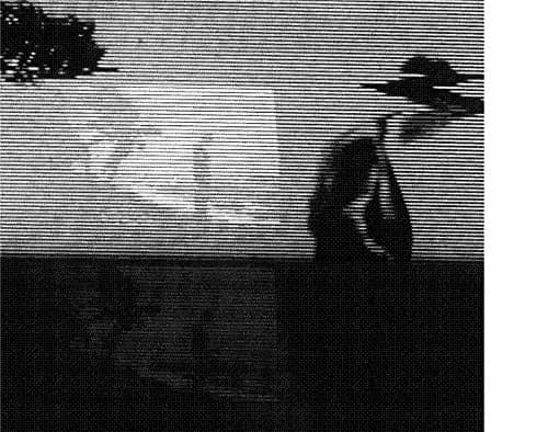 Album cover art for Evidence of Time Travel