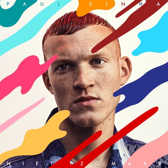 Album cover art for Niet zomaar