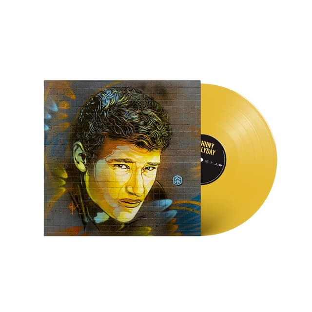 Album cover art for Best Of Vinyle C215