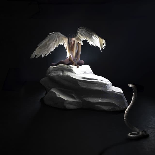 Album cover art for Silver Spoon