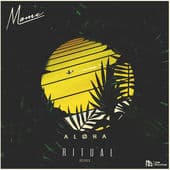 Album cover art for Aloha (RITUAL Remix)