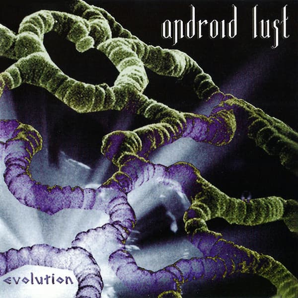 Album cover art for Evolution