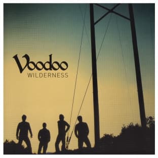 Album cover art for Wilderness