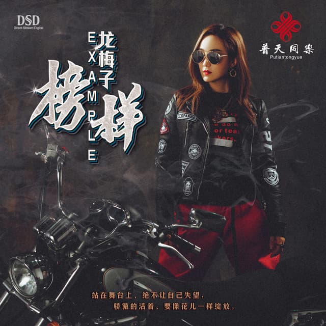Album cover art for 榜样