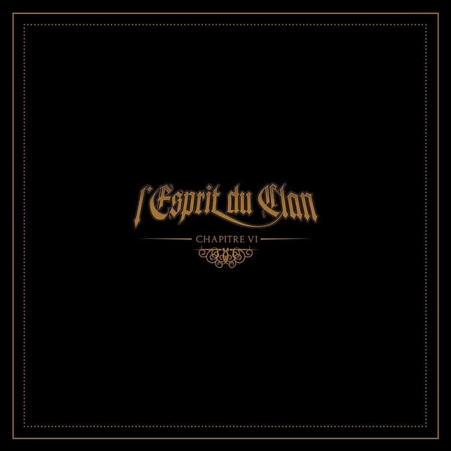 Album cover art for Chapitre VI