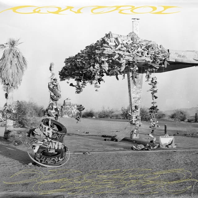 Album cover art for Control