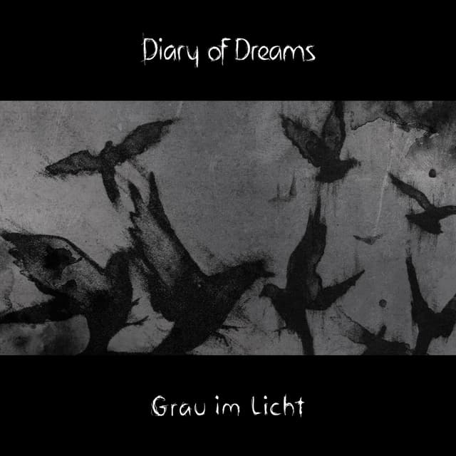 Album cover art for Grau im Licht