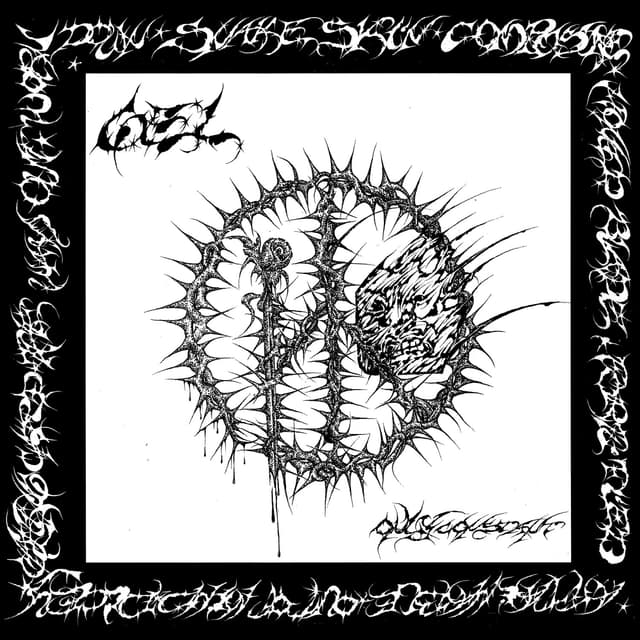 Album cover art for Only Constant